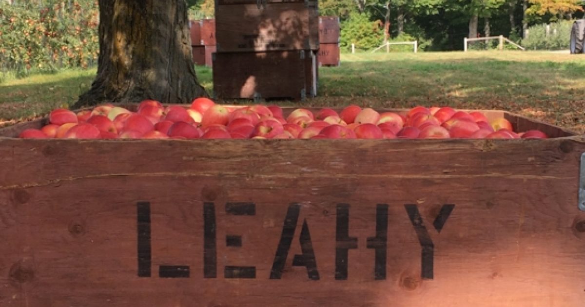 Applesnax | Applesnax Apple & Cinnamon Jar